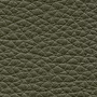 colorpic__img