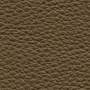 colorpic__img