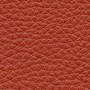colorpic__img